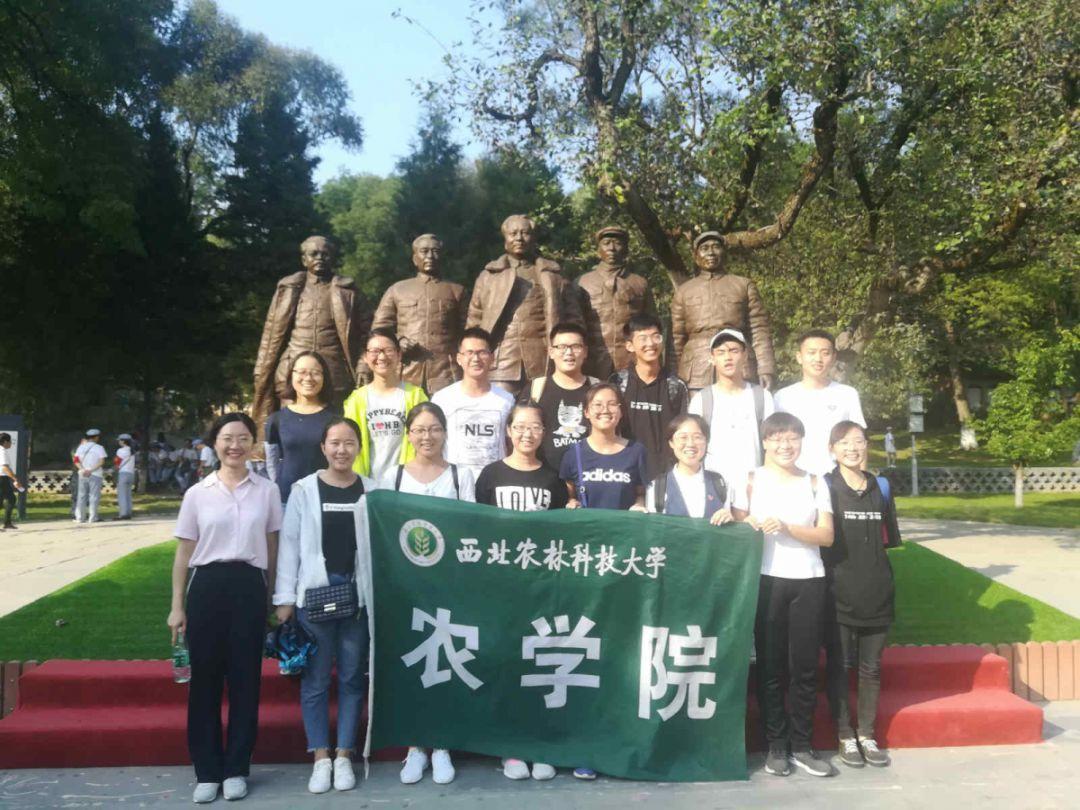 250亿影帝！沈腾主演电影票房破250亿登热搜，内娱还有哪些百亿演员？游戏画面